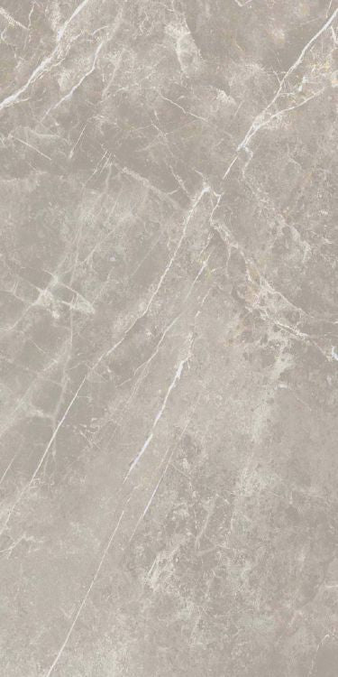 Dolomia Grey Nat Tile Matte 24 x 48