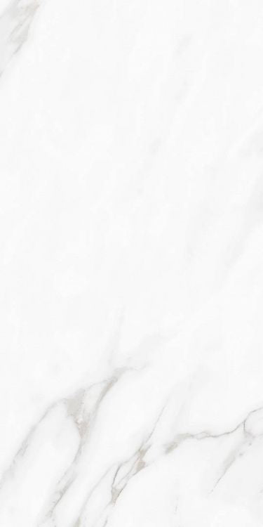Carenza Bianca Tile Polished 12 x 24