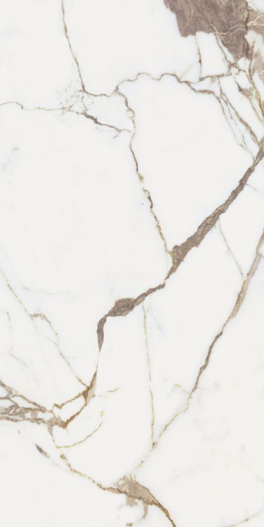 Origines Or Tile Glossy 24 x 48