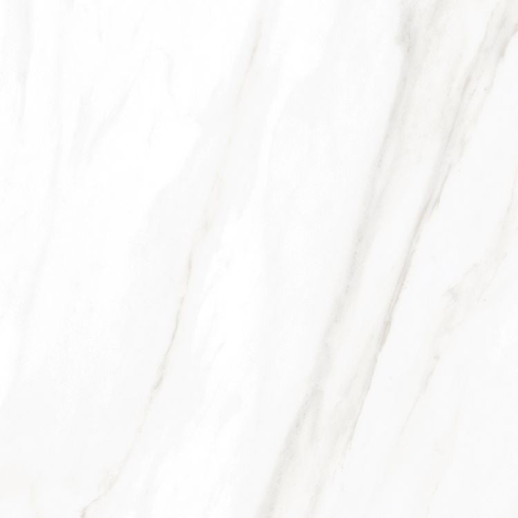 EC Calacatta Gold Matte 24 x 24