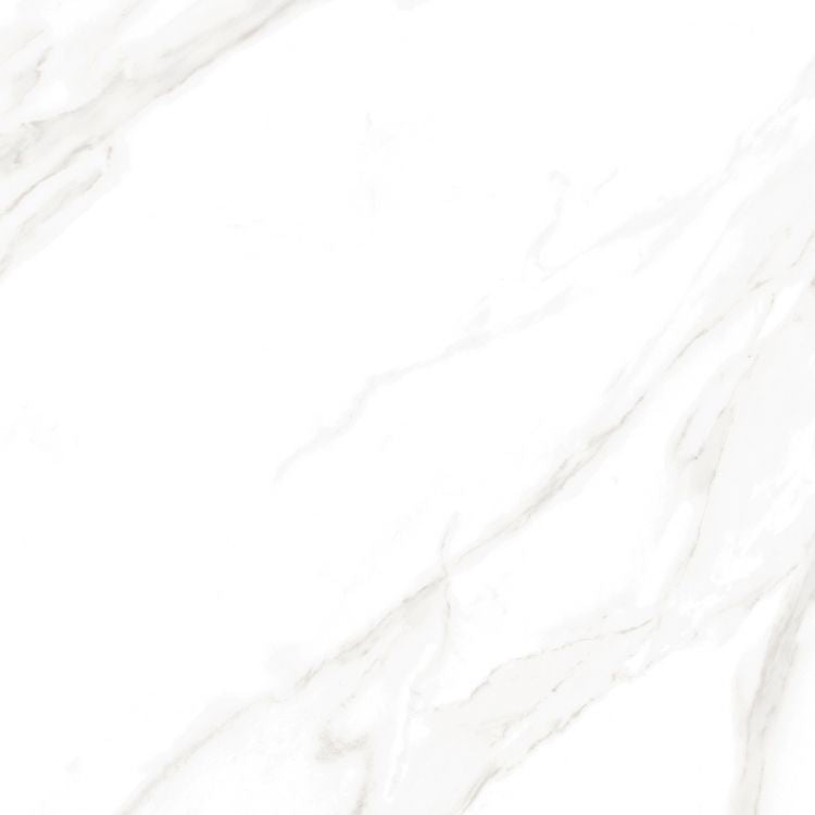 EC Calacatta Gold Matte 24 x 24