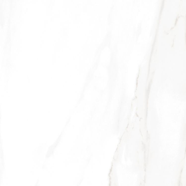 EC Calacatta Gold Matte 24 x 24