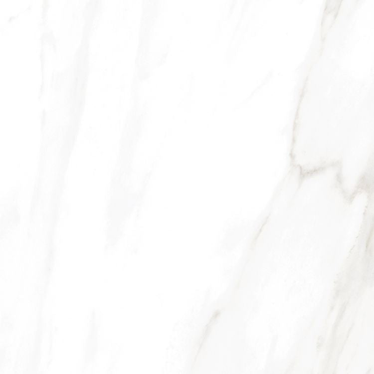 EC Calacatta Gold Matte 24 x 24