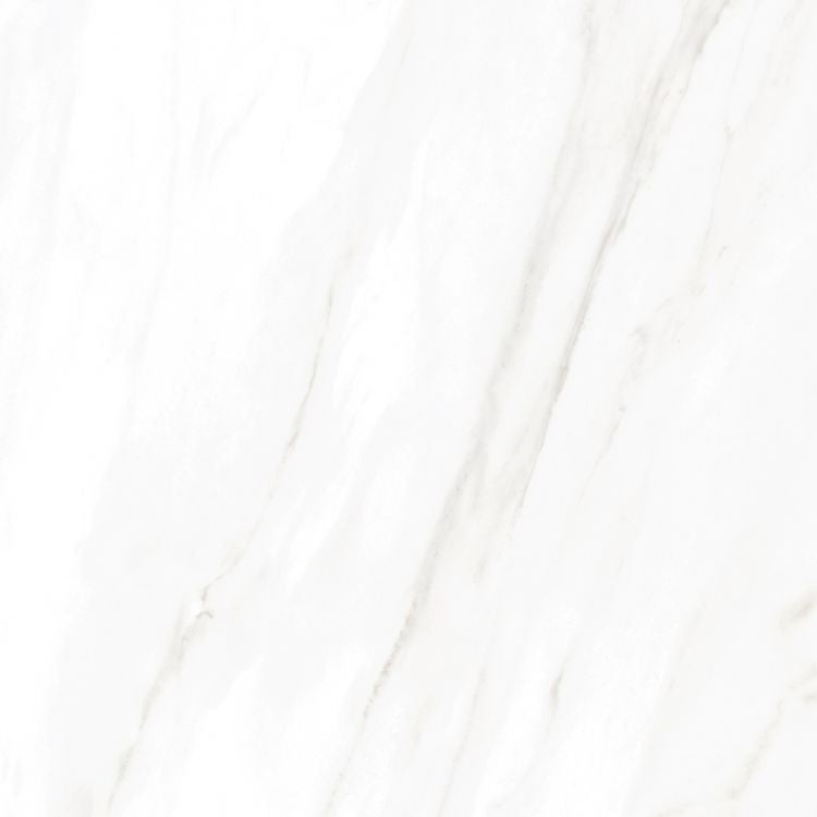 EC Calacatta Gold Matte 24 x 24
