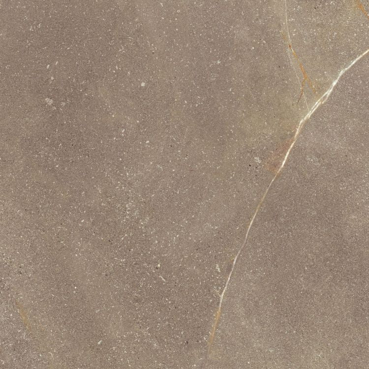 Madison Noce Tile Matte 24 x 24