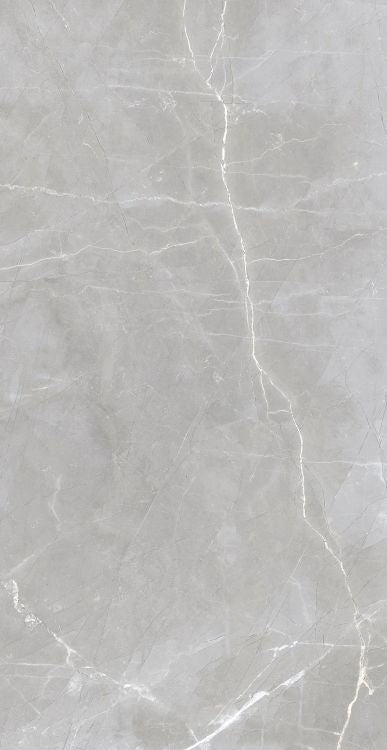 Luxury Amani Grey Polished 24 x 48