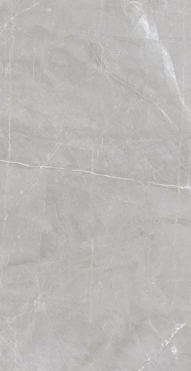 Luxury Amani Grey Polished 24 x 48