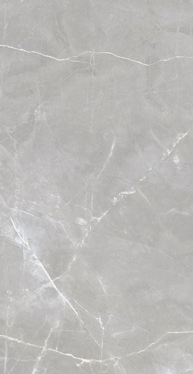 Luxury Amani Grey Polished 24 x 48