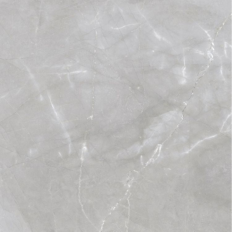 Luxury Amani Grey Polished 24 x 24