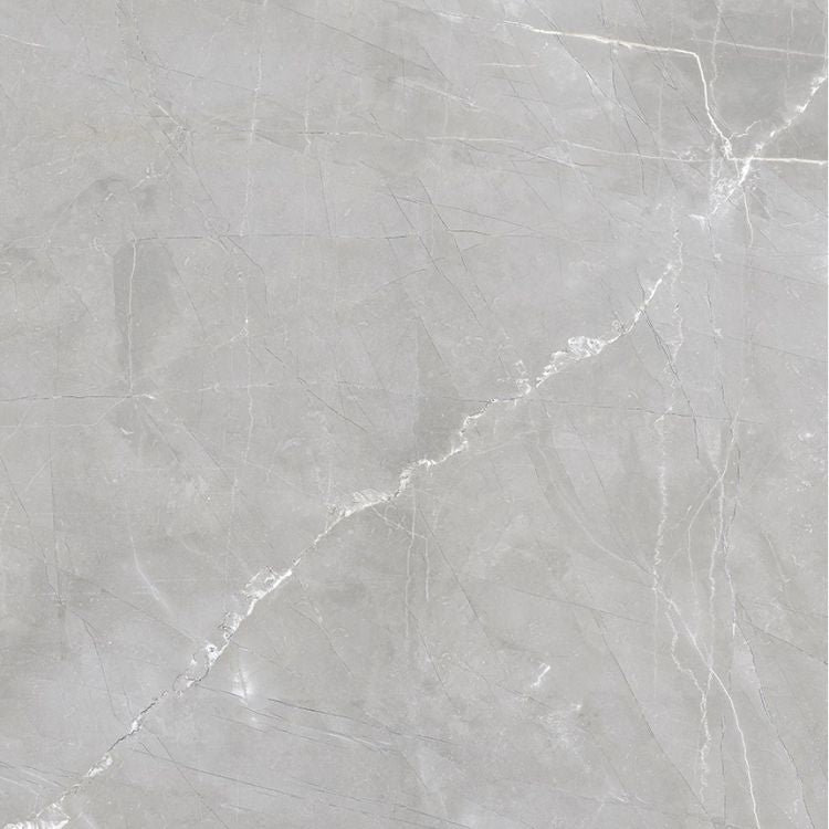 Luxury Amani Grey Polished 24 x 24