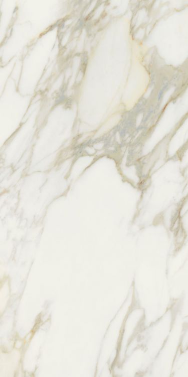 Etoile Creme Tile Matte 24 x 48