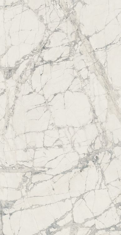 Prexious Mountain Treasure Tile Glossy 24 x 48