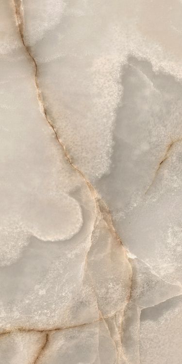 Reves Noisette Tile Matte 12 x 24