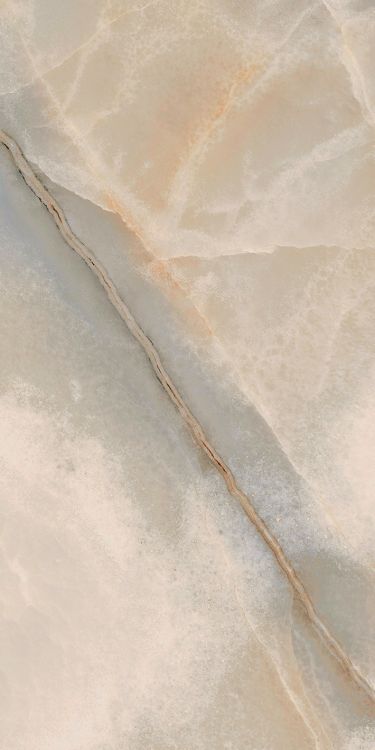 Reves Noisette Tile Glossy 12 x 24