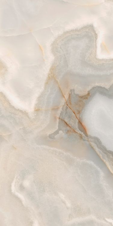Reves Noisette Glossy 24 x 48