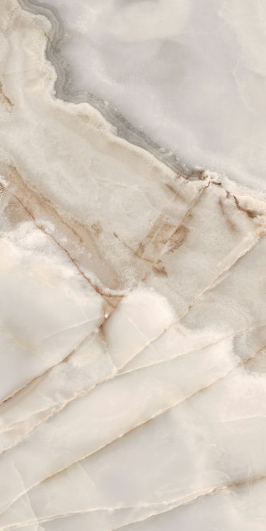 Reves Noisette Glossy 24 x 48