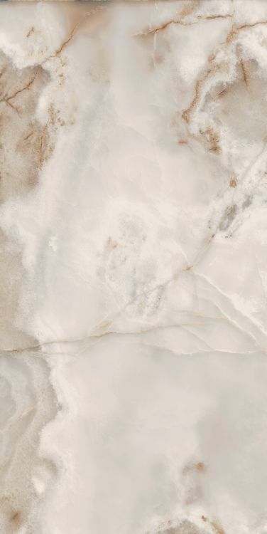 Reves Noisette Glossy 24 x 48