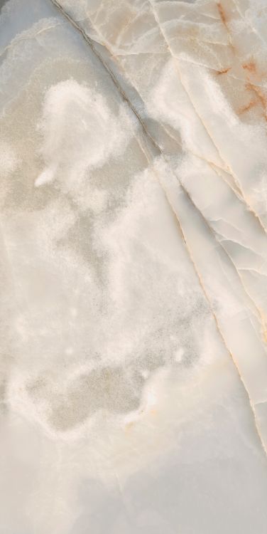 Reves Noisette Matte 24 x 48