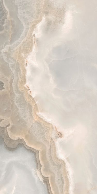 Reves Noisette Matte 24 x 48