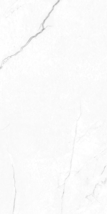 EC Elegance White Polished 12 x 24