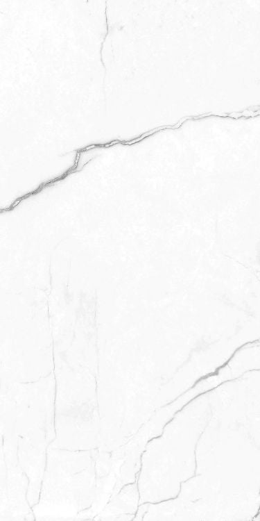 EC Elegance White Polished 12 x 24