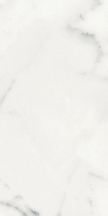 Origines Blanc Matte 12 x 24