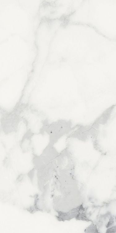 Origines Blanc Matte 12 x 24
