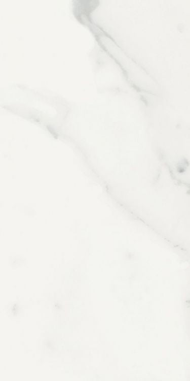 Origines Blanc Matte 12 x 24