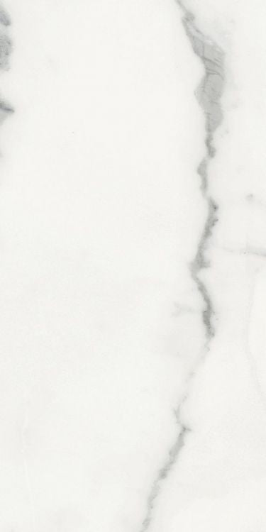 Origines Blanc Matte 12 x 24