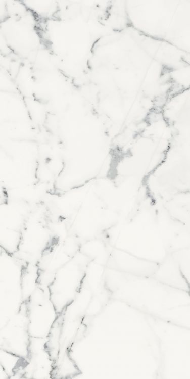 Origines Blanc Tile Matte 24 x 48