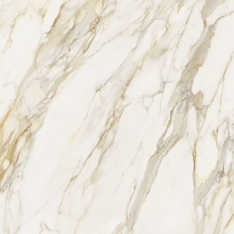 Etoile Creme Tile Matte 48 x 48