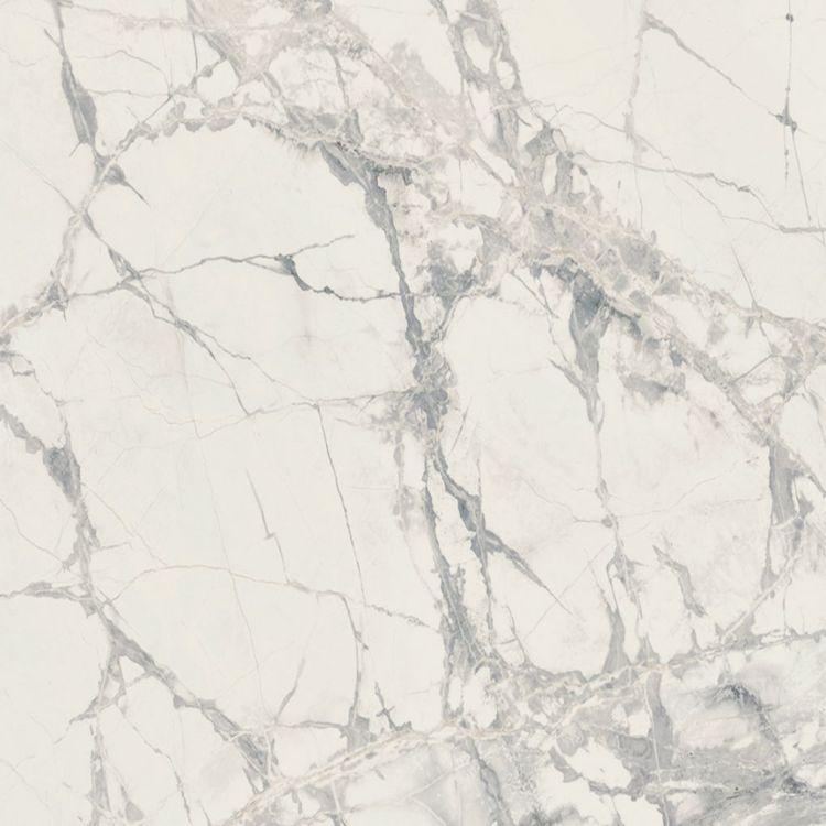 Prexious Mountain Treasure Tile Matte 48 x 48