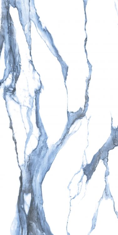 Calacatta Blue Tile 24 x 48