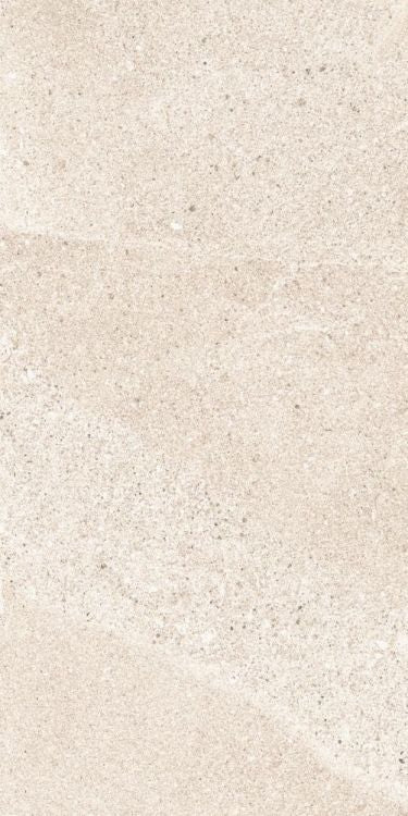 Tune Ivory 12 x 24