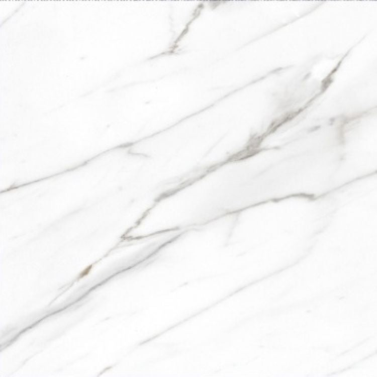 AGL Carrara Tile Polished 24 x 24