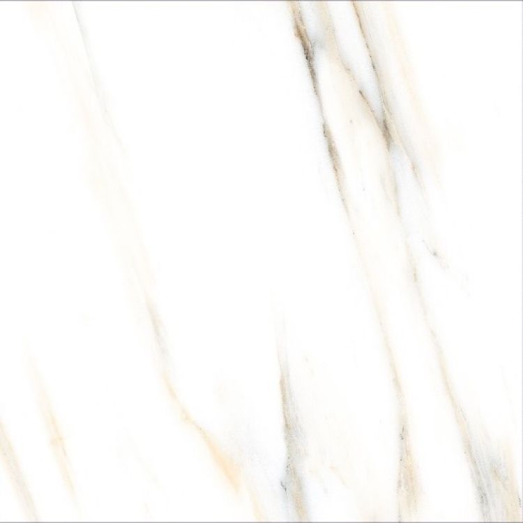 AGL Calacatta Gold Tile Matte 24 x 24