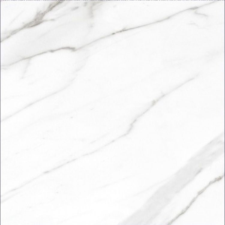 AGL Carrara Matte 24 x 24