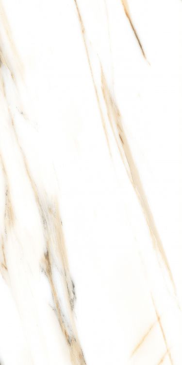 AGL Calacatta Gold Tile Matte 24 x 48