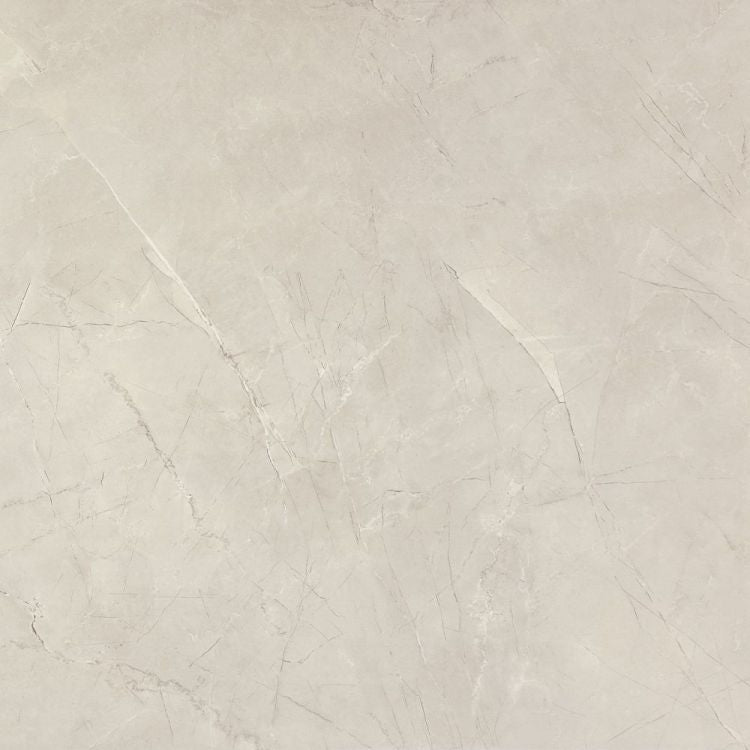 NG Pulpis Prime Light Grey Tile Matte 48 x 48