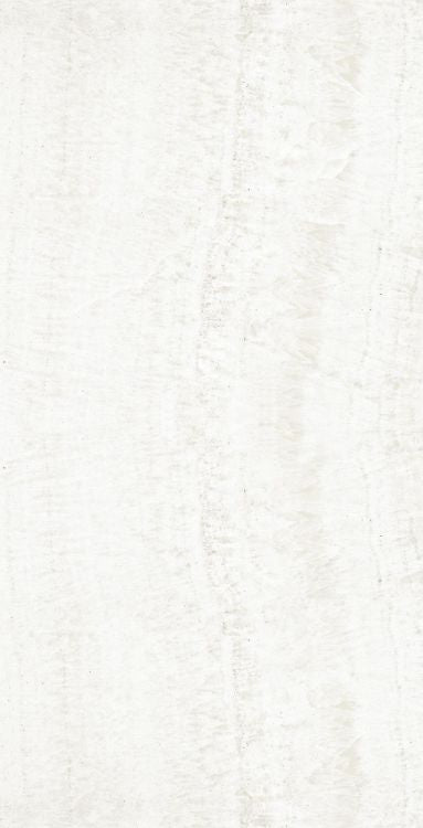 OL Onyx White Tile Matte 24 x 48
