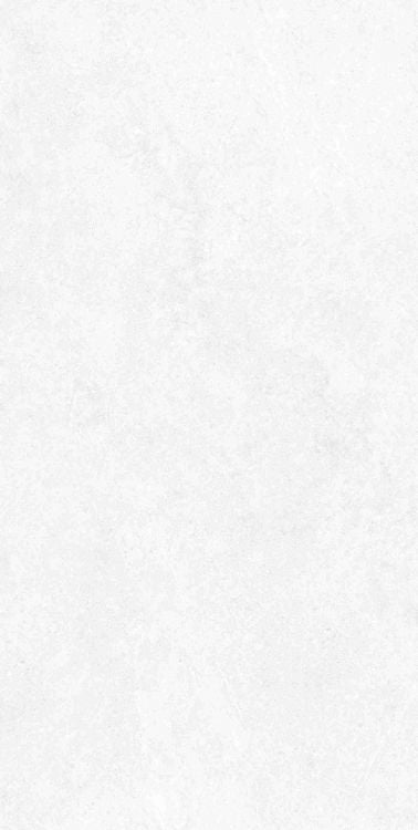 Babilon Arctic Matte 12 x 24