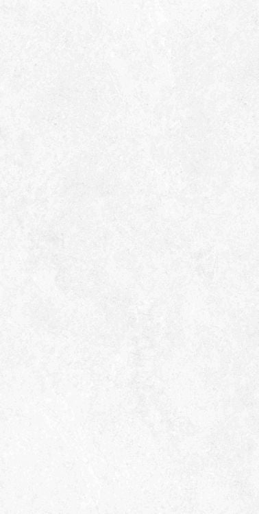 Babilon Arctic Matte 24 x 48