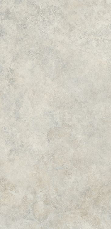 Arbia Grey Matte 24 x 48
