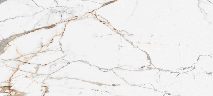 Origines De Rex Or Glossy 6MM 47 x 110