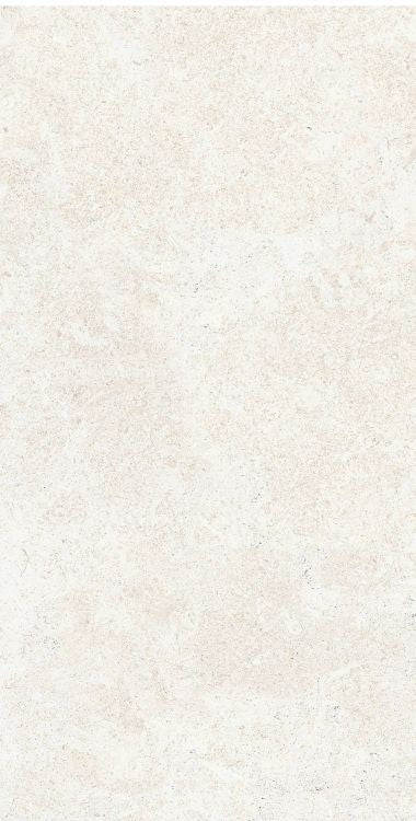OL Limestone Avorio Matte 12 x 24