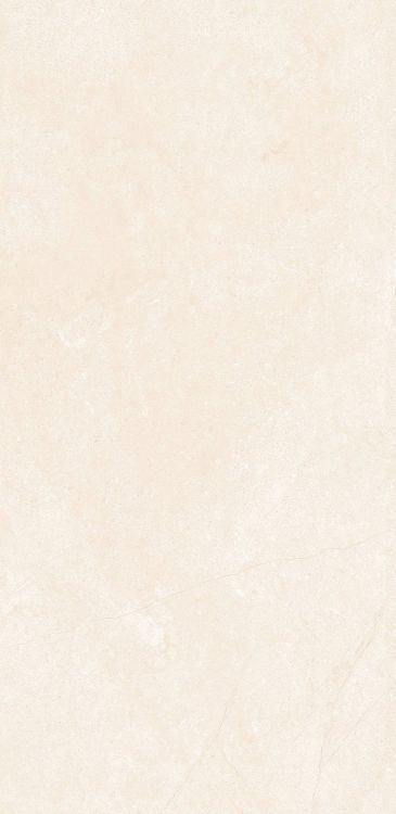 OL Marfil Matte 24 x 48