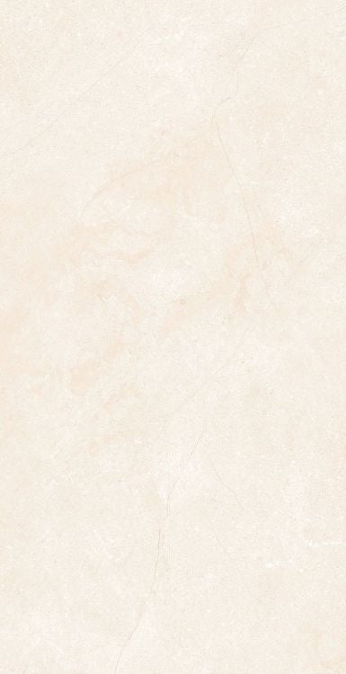 OL Marfil Matte 12 x 24