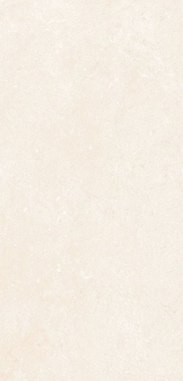 OL Marfil Matte 12 x 24