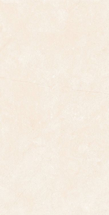 OL Marfil Matte 12 x 24