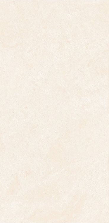 OL Marfil Matte 12 x 24